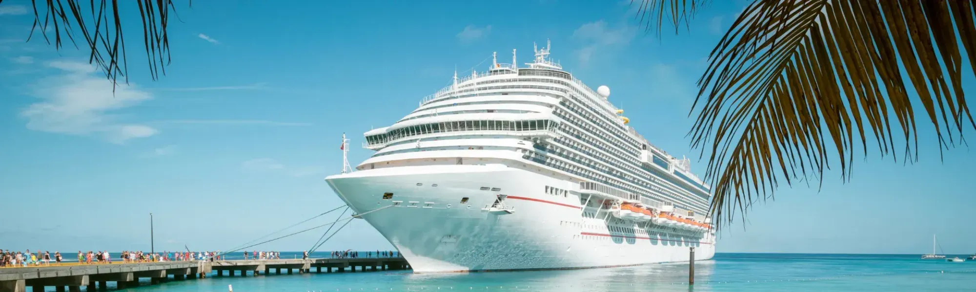 10 Survival tips if you have been impacted by the downturn in cruise - Faststream Recruitment